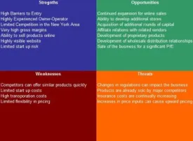 Cosmetics Retailer SWOT Analysis Plus Business Plan